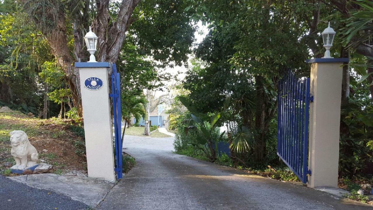 Villa Indigo Sunny 1Br Apartment In Private Gated Estate Charlotte Amalie Bagian luar foto