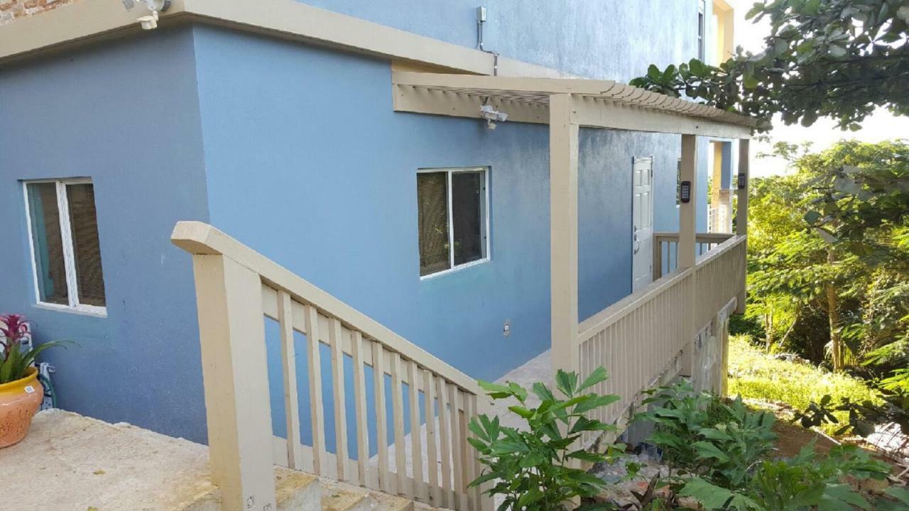 Villa Indigo Sunny 1Br Apartment In Private Gated Estate Charlotte Amalie Bagian luar foto