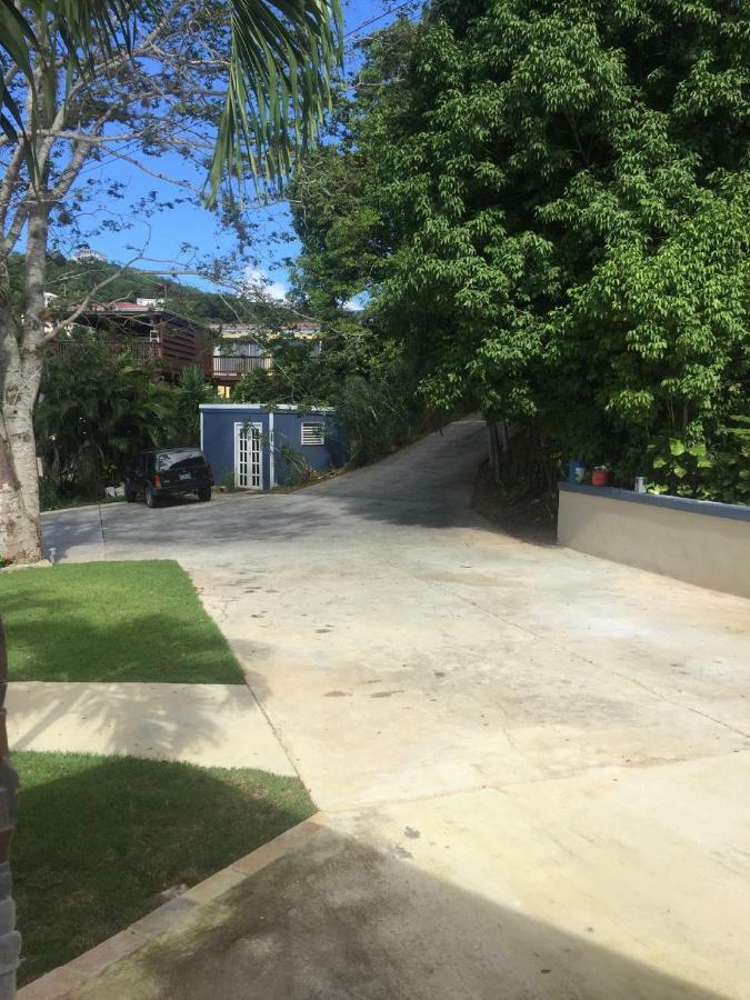 Villa Indigo Sunny 1Br Apartment In Private Gated Estate Charlotte Amalie Bagian luar foto